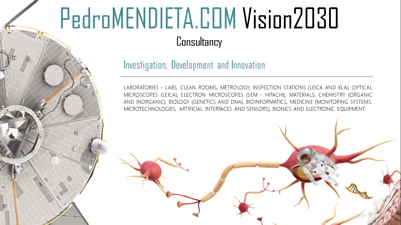 PedroMENDIETA.COM Vision2030